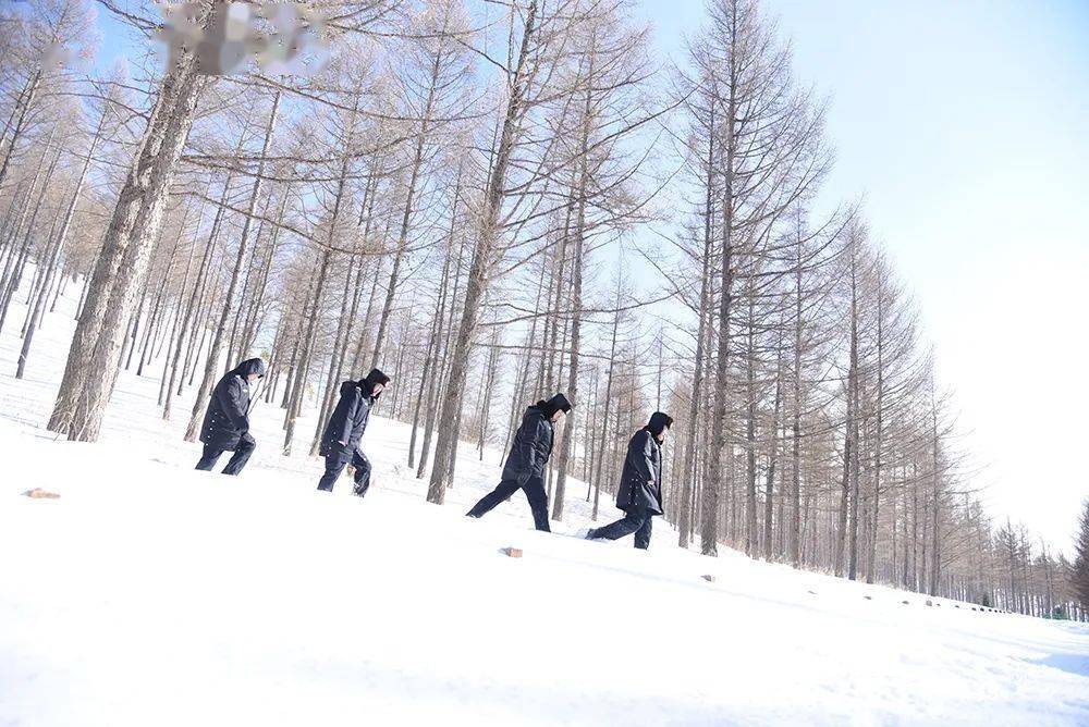 积雪|宣传民警走基层 | 塞罕坝森林警察：忠诚守护绿水青山