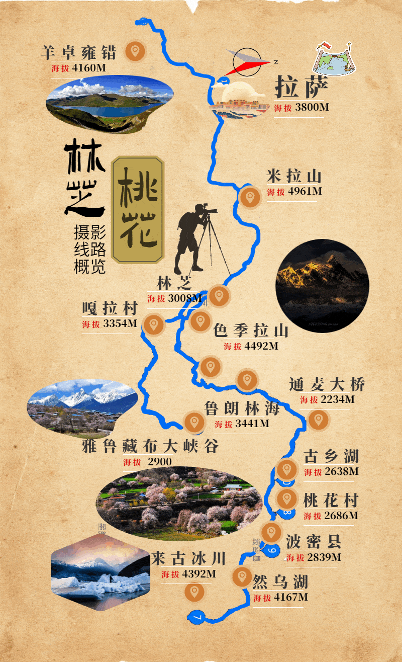 确定发团藏地春色之林芝波密桃花来古冰川风光摄影团