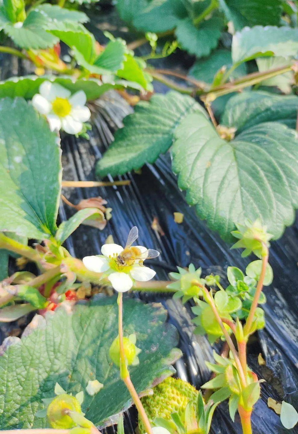 城固县|Hey~ 这是篇很甜的推送→