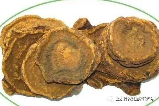 每天学一味中草药——大黄(彩图)_黄根_功效_用法