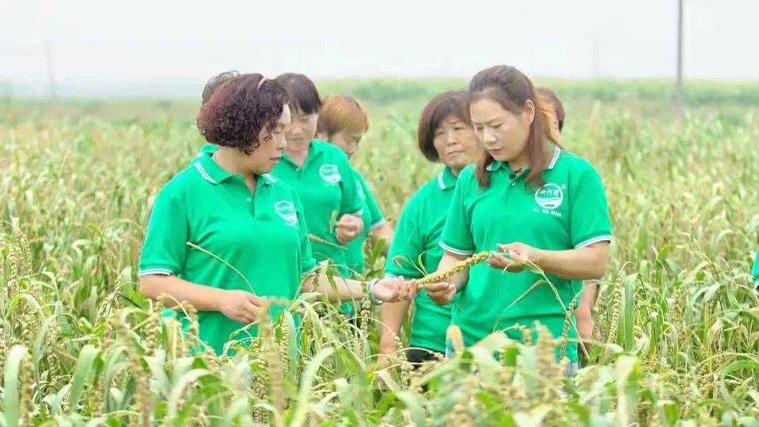 秦丽敏现年42岁,长桥镇东长桥村人,现任平顶山市绿禾农业科技开发有限
