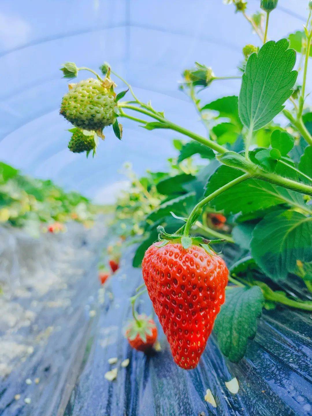 城固县|Hey~ 这是篇很甜的推送→