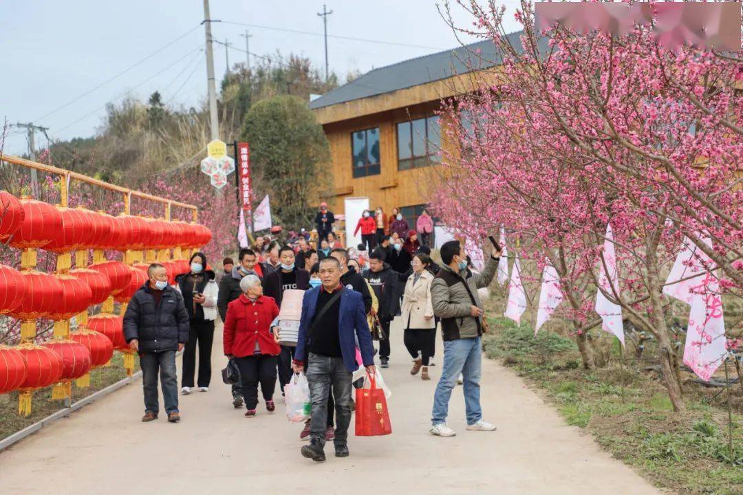 周末赏花盐亭这些地方值得打卡