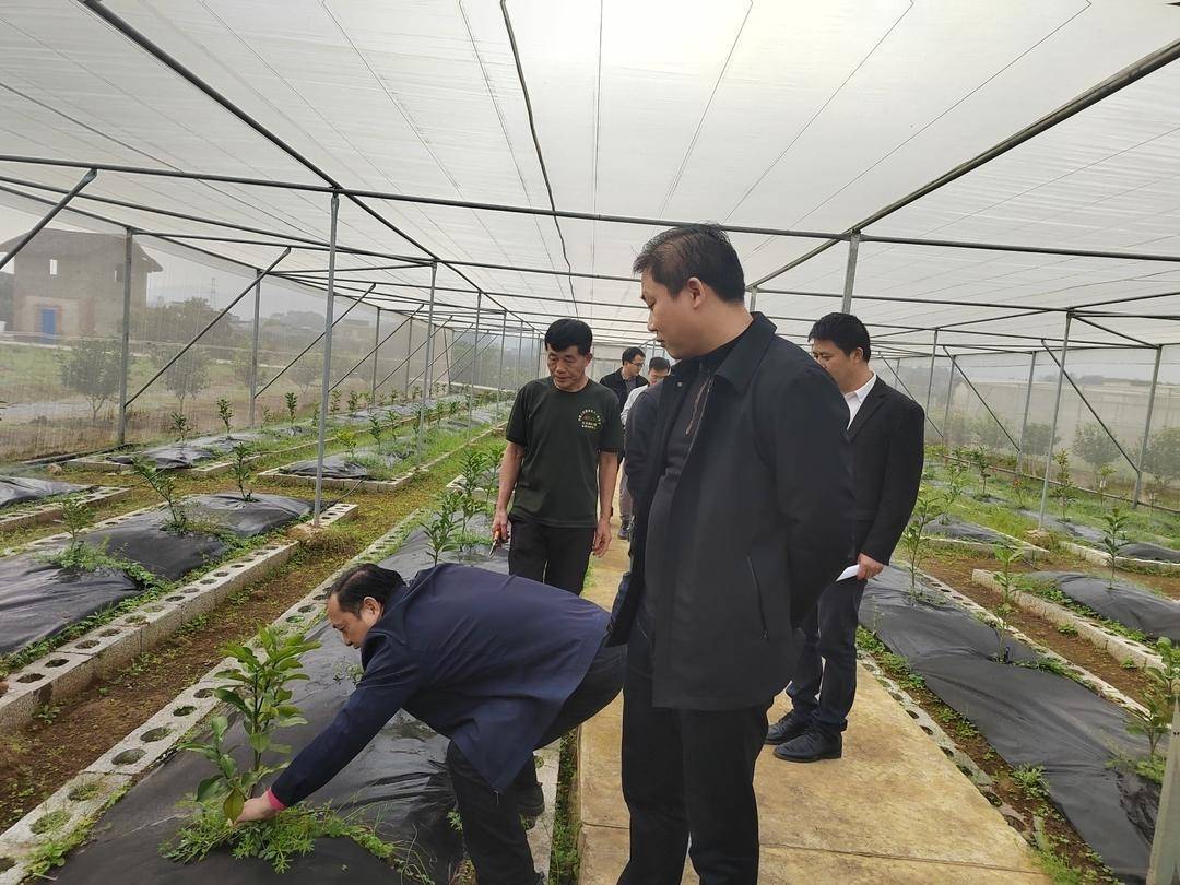 江永粗石江最牛的人图片