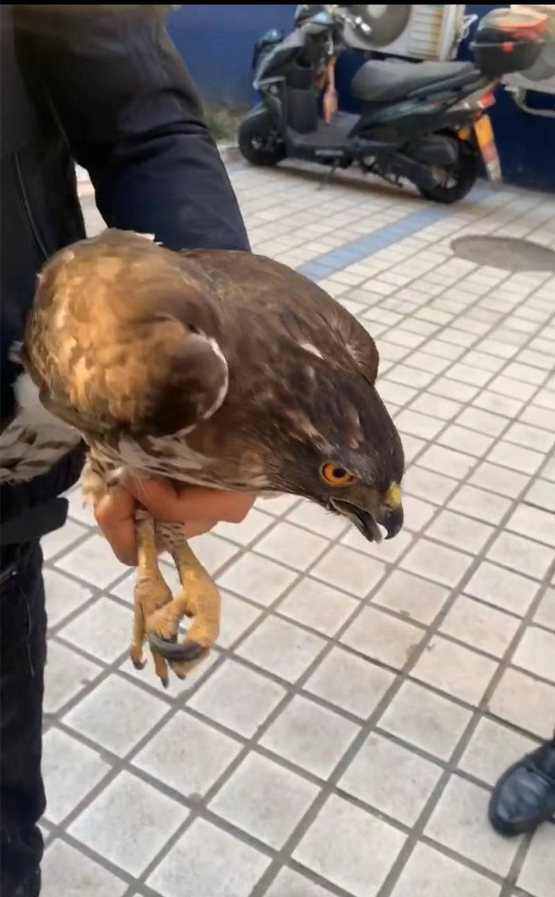 半岛全媒体记者 蒋凯 通讯员 朱海生