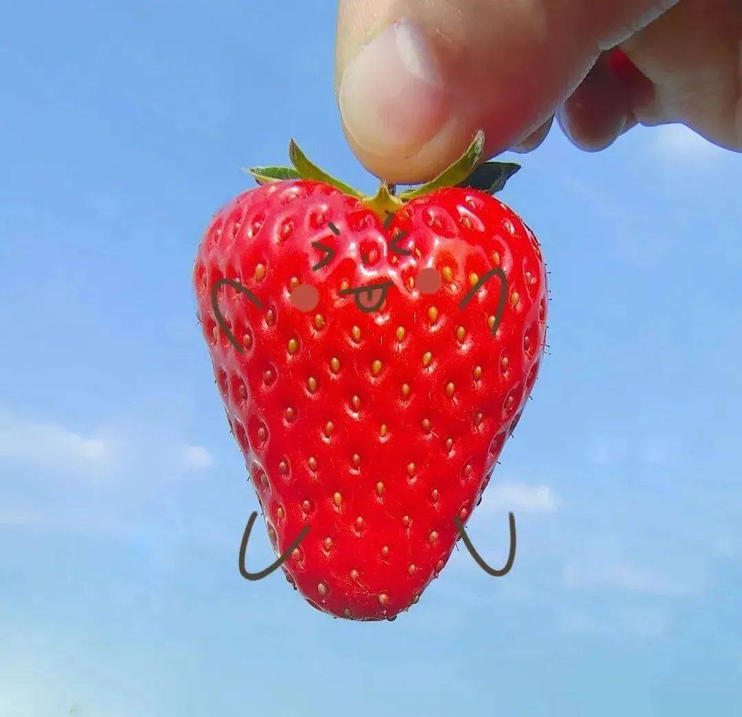 城固县|Hey~ 这是篇很甜的推送→