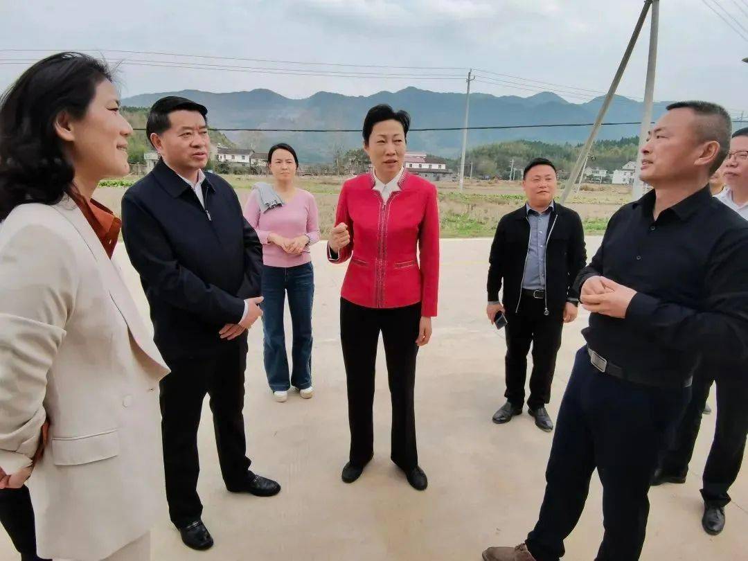 江枝英一行先后深入临川区秋溪镇早稻翻耕现场,绿兴全程机械化综合