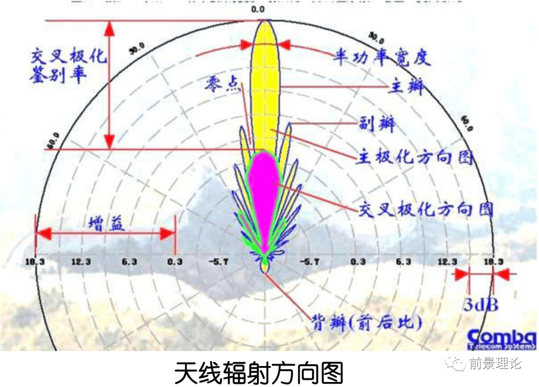 垂直极化天线图解图片