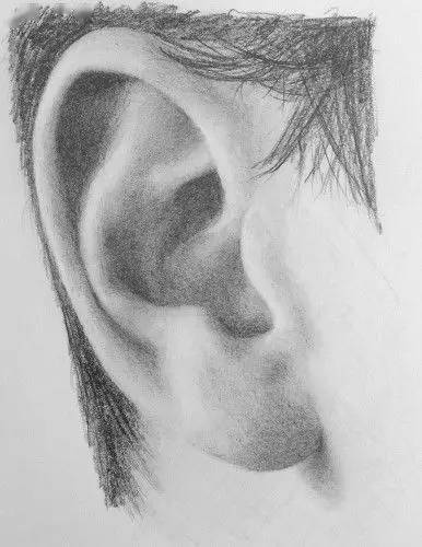 头像画素描五官，看这一篇就够了！