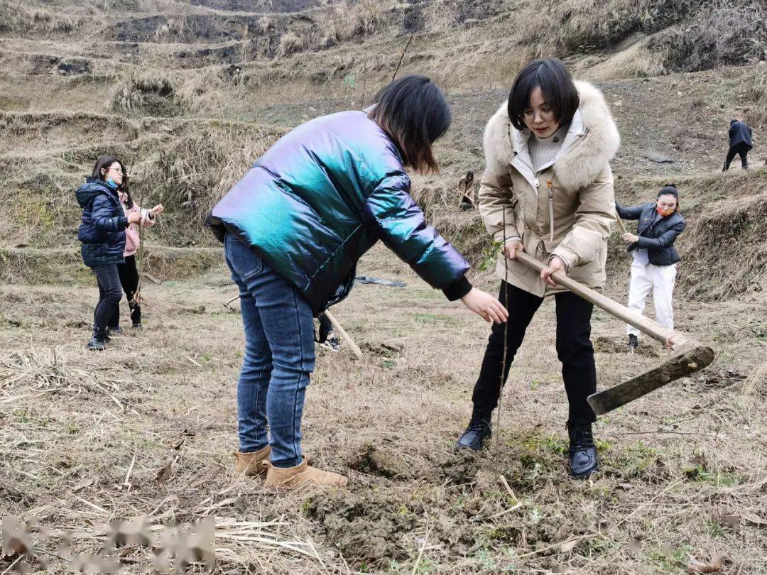 微觀| 鄉村振興 巾幗在行動_浞水鎮_務川_婦女