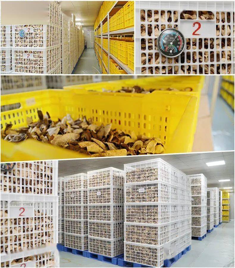 脾胃|一次性把陈皮的知识讲清楚（建议收藏）.