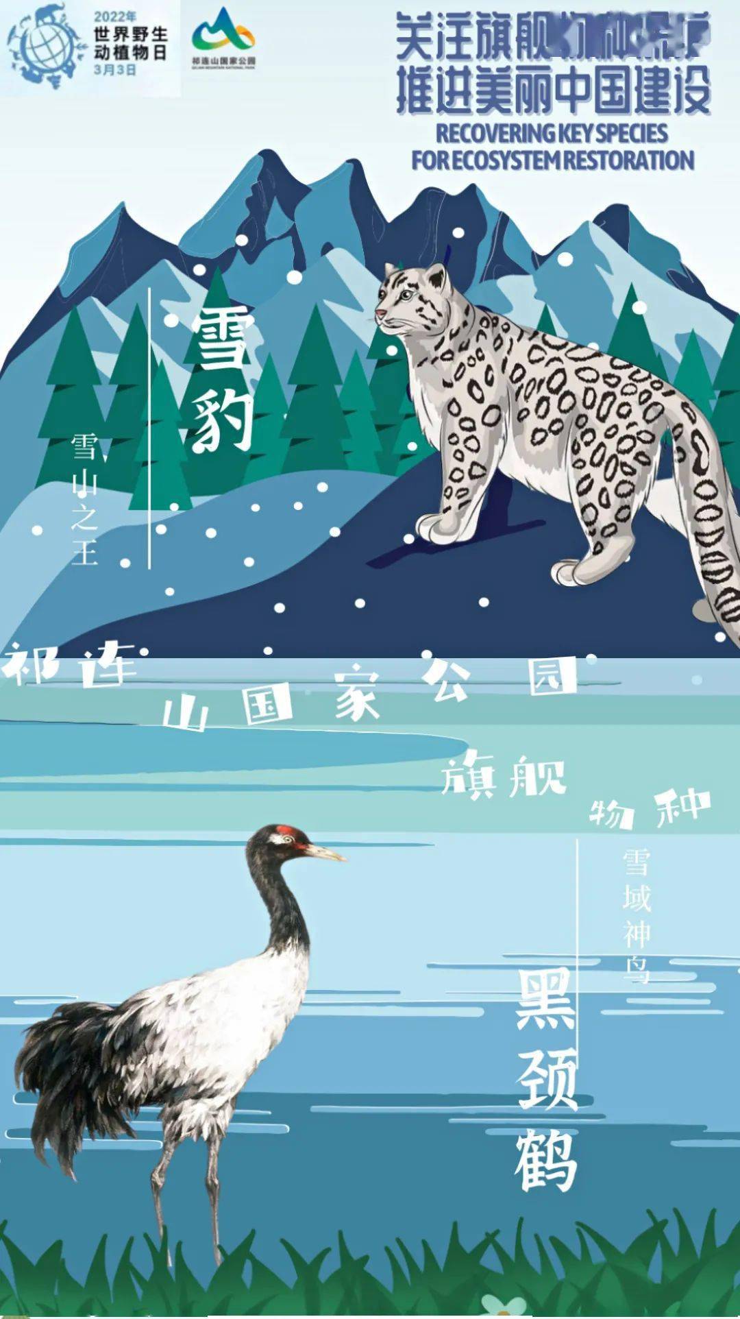 在线征名 | 这两只雪豹的名字你说了算_高照华_刘幸海_冯丽晨