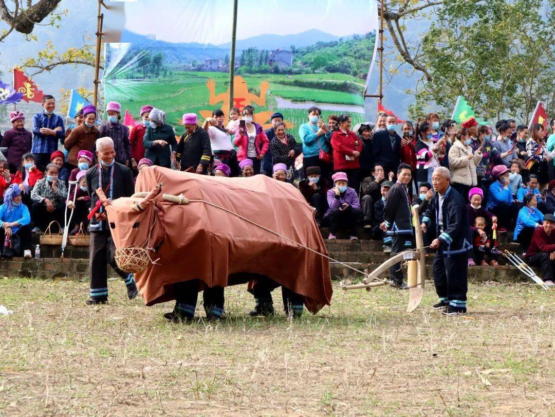 东兰县这两个村欢庆蚂拐节