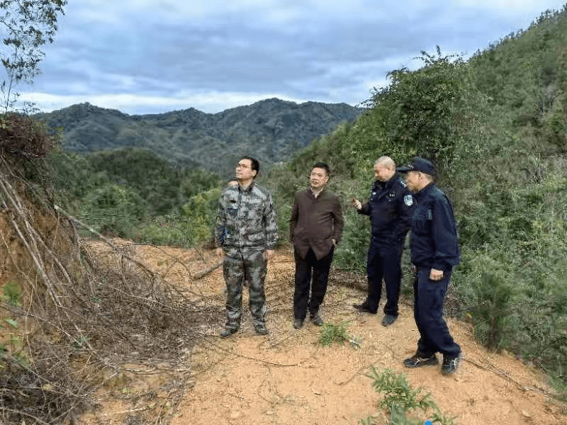 3月6日,违法嫌疑人俞某某主动前往林业站,积极配合案件调查,林业部门