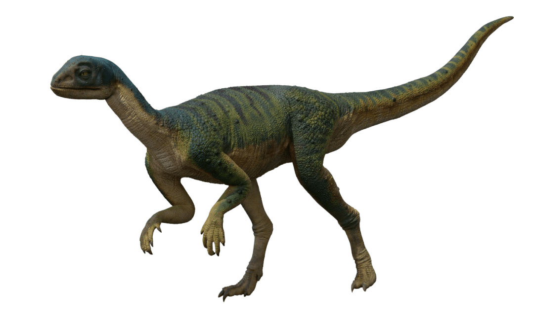 重庆发现亚洲最古老的剑龙化石在云阳