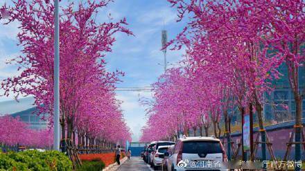 行走|汝州推出春季旅游文化节系列活动