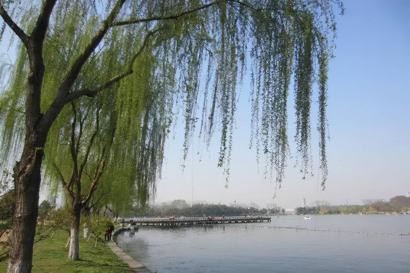 南京杨柳湖图片