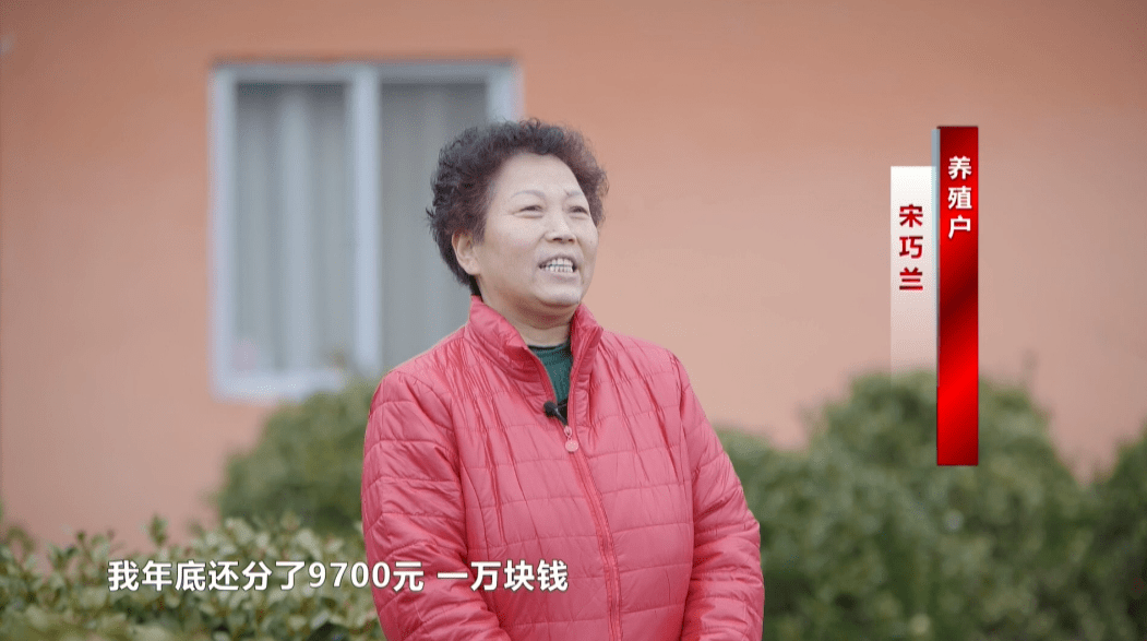 女大学生羊倌致富路上的领头羊