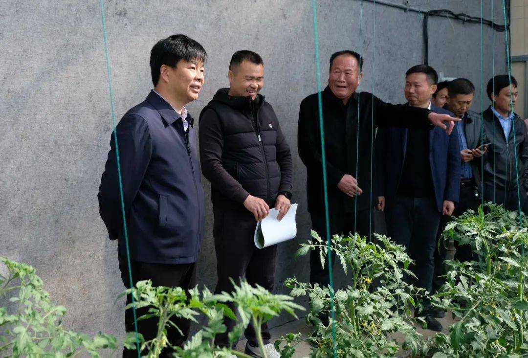 县委书记邵奉公调研重点农业项目建设