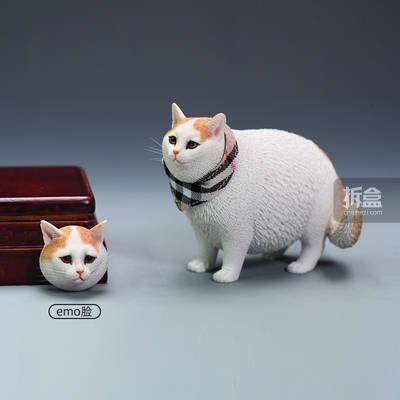 产品JXK 1/6 换头肥猫模型 仿真可爱有趣宠物猫咪动物潮玩摆件