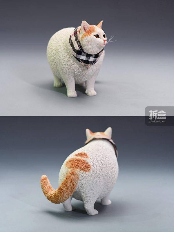 产品JXK 1/6 换头肥猫模型 仿真可爱有趣宠物猫咪动物潮玩摆件