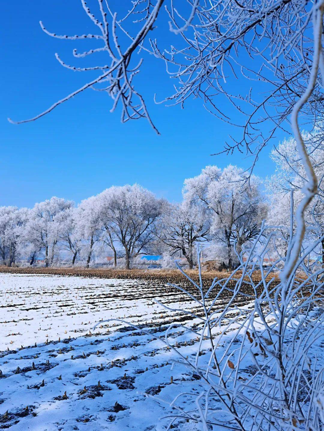 摄影‖武振宇 家乡的雪景