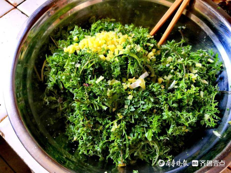 壹粉食堂春天的味道鲜嫩又营养的麦蒿饼你吃过吗