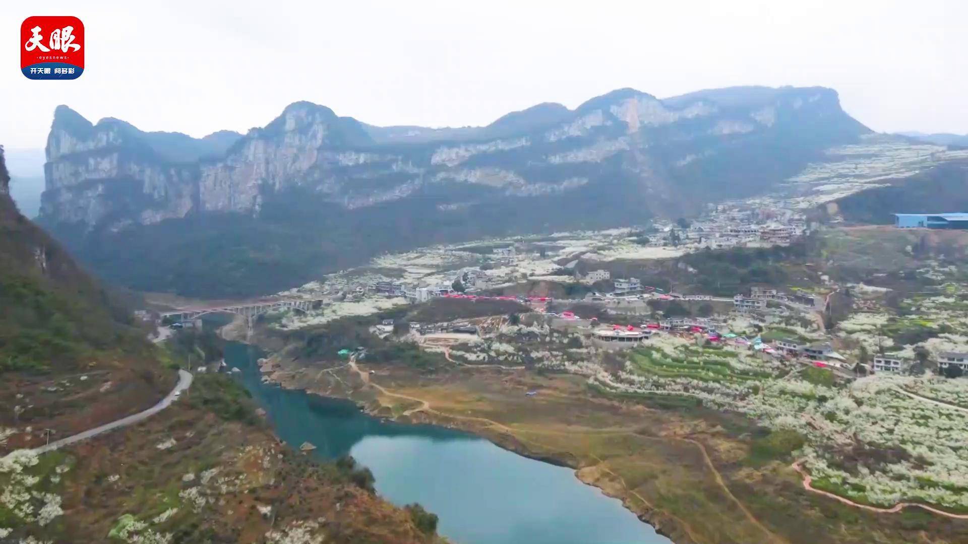 织金县马场镇凹河岸边一片白万亩樱桃花醉游客