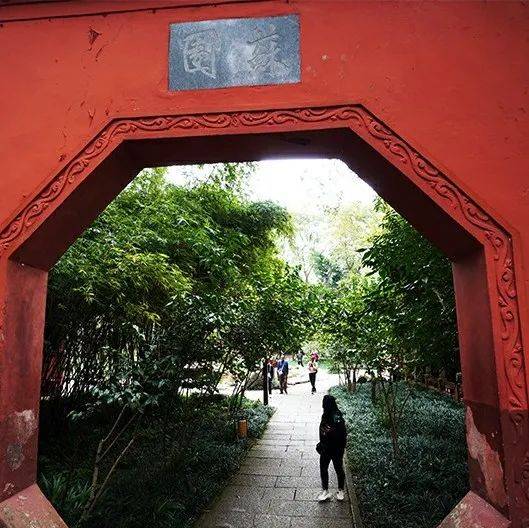 乐言乐语丨从此春风春雨后,乱随流水到天涯_大佛_享朝_春意