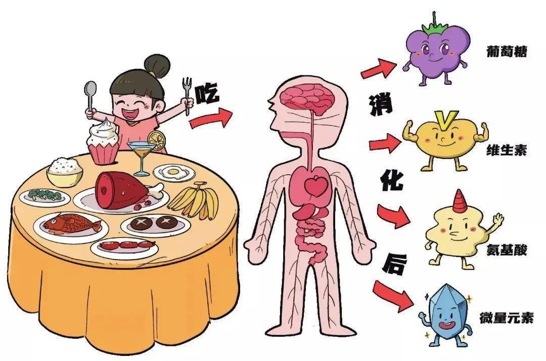 万物有化学系列：从未知到喜欢，破解万物的化学密码