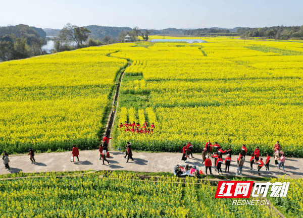 两河口|湖南道县：游花海 享春光（组图）