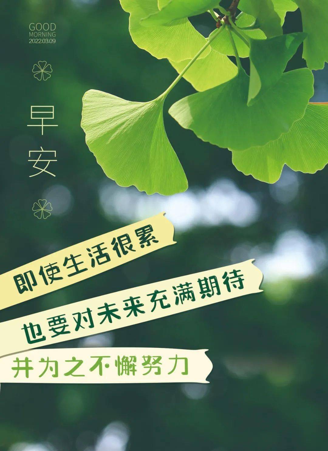 3月9日早安正能量努力賺錢語錄句子新的一天努力奮鬥早上好圖片最新