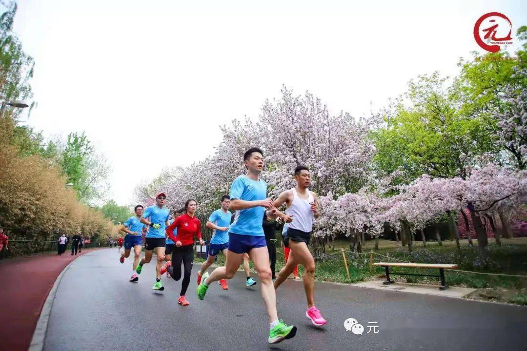 马拉松的春天来了丨元大都春季训练营正在招募中