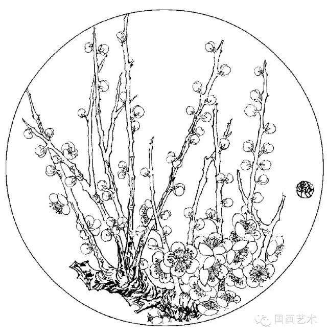 50幅白描梅花,練筆用~_變化_勾須_花朵