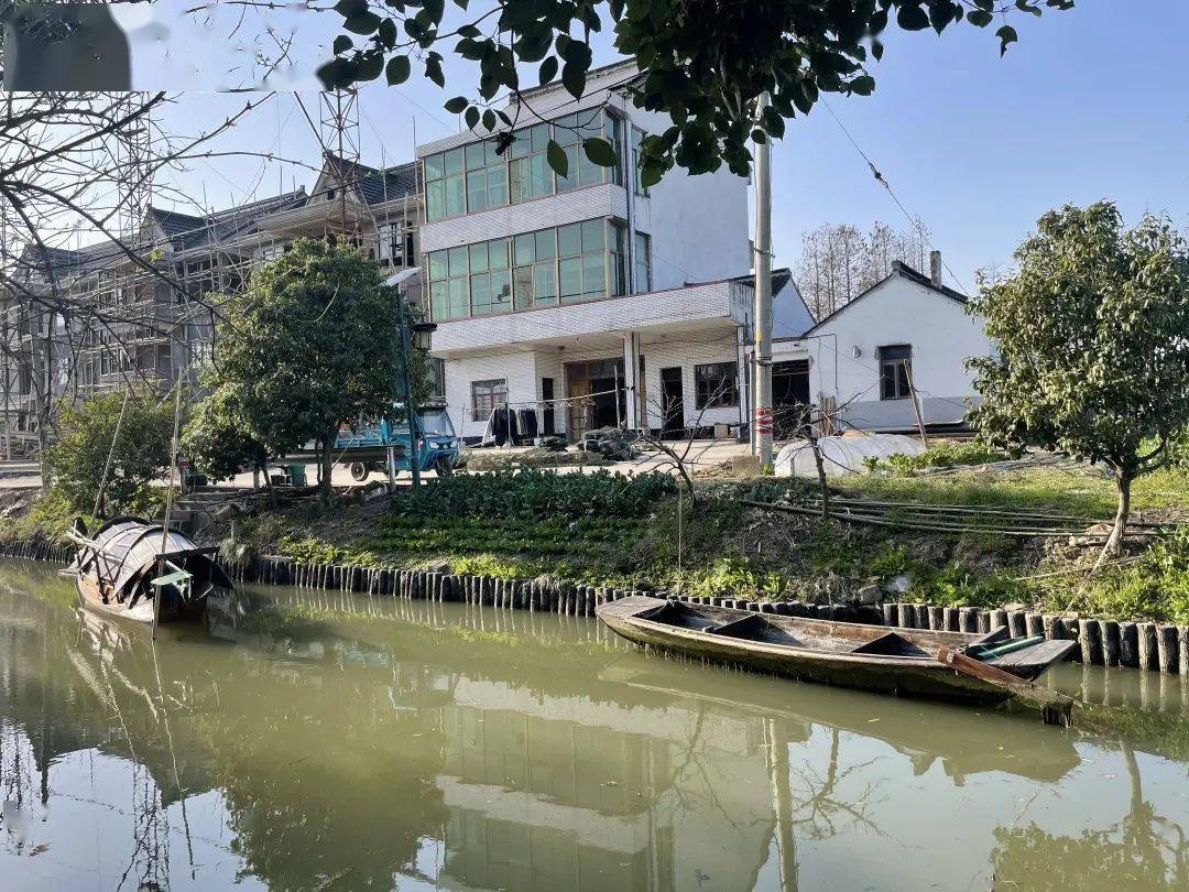 合美新仓超前完成石路村项家浜率先通过农村人居环境集中整治攻坚验收