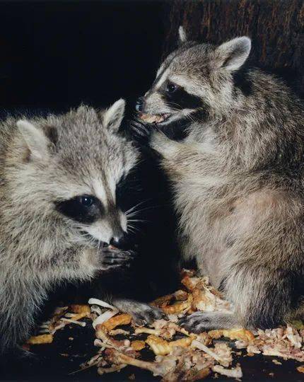 新书预定丨gregoryhalpernzzyzx