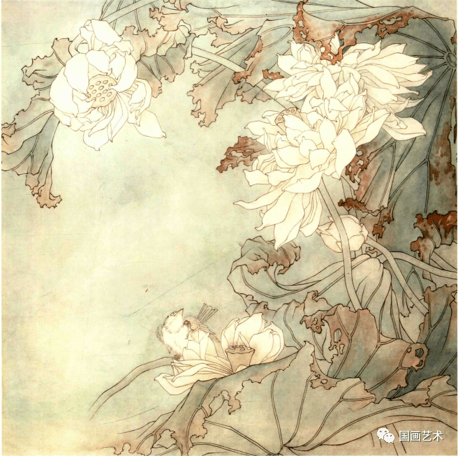 工笔荷花画法分享_步骤_花瓣_莲蓬