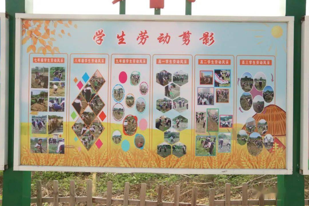 劳动实践基地"大丰收",这个学校的做法亮了!_长乐_教育_种植