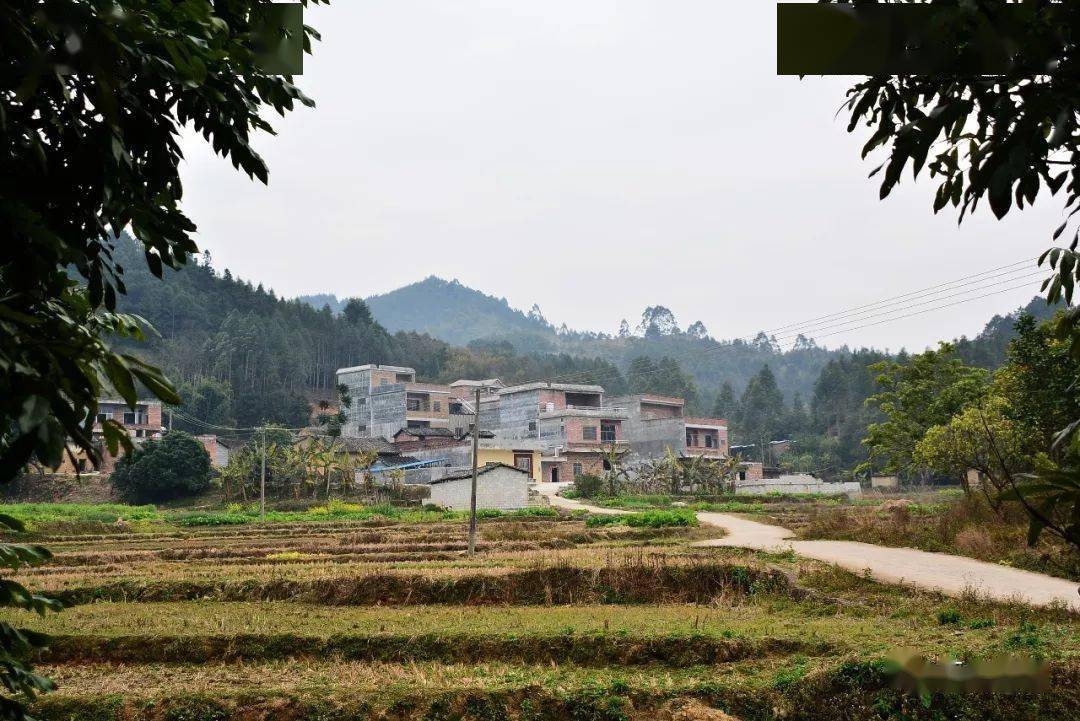 瞭解我們的家鄉石龍鎮永興村