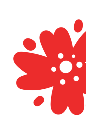 吉刻出发带您线上欣赏破冰而出的冰凌花