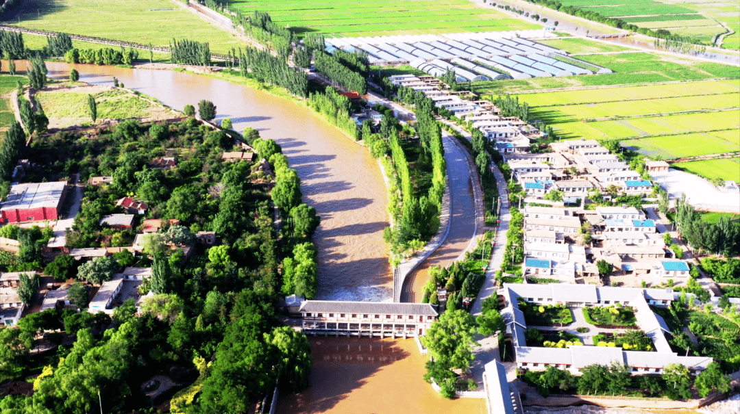 青铜峡市大坝镇水权改革激活节水引擎