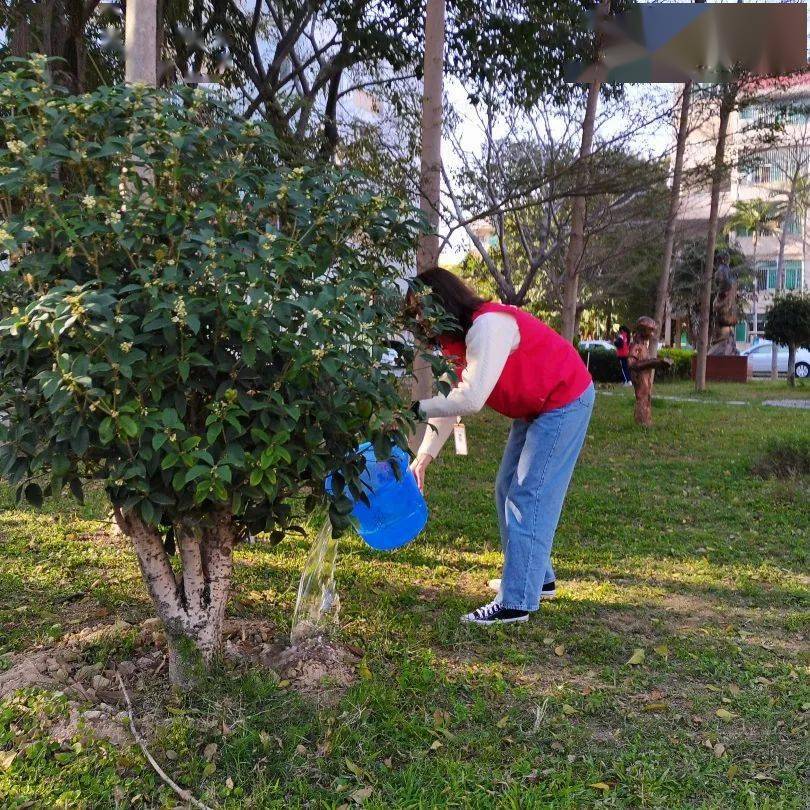 植树照片背影单人图片