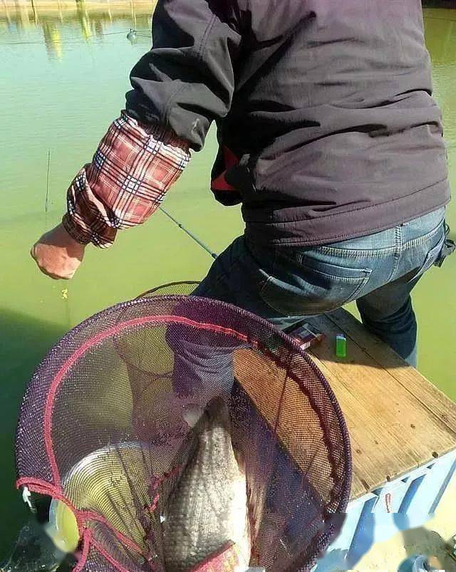 手竿春钓鲫鱼就用这3种沉底钓法没有渔获来找我