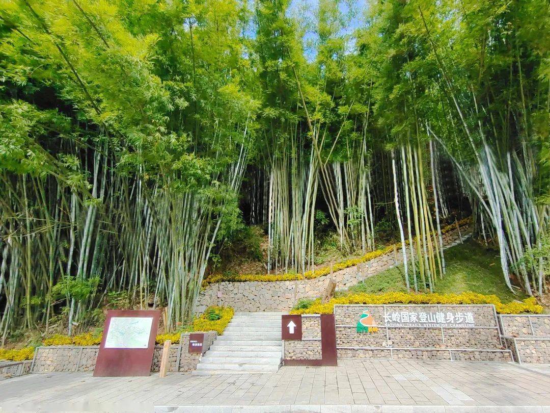 弘扬雷锋精神助力乡村振兴敏捷公益行走进广州黄麻