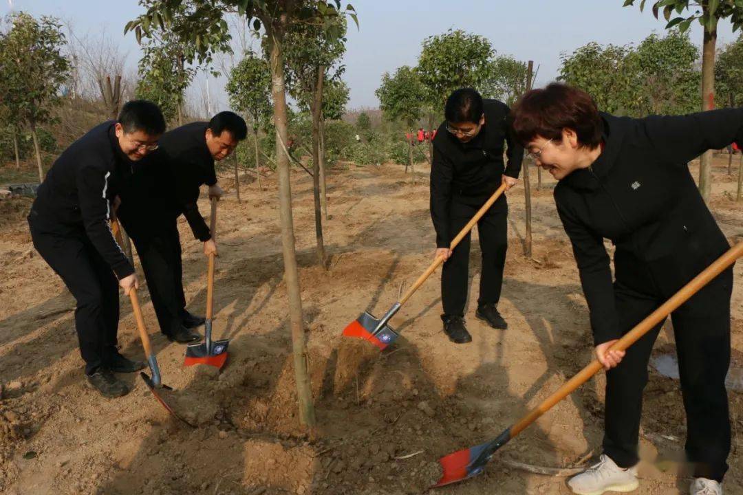 春风吹新绿 植树正当时 我县开展春季义务植树活动_蒲春侠_武功_建设