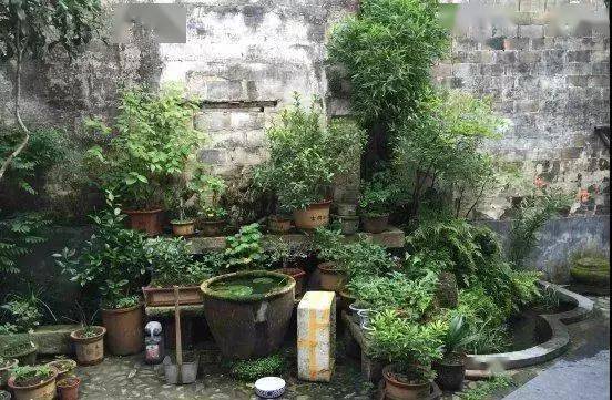 中国人为什么喜欢在院子里放水缸还称它门海