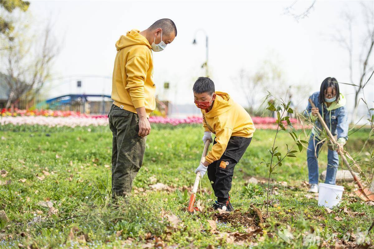 亲子植树为地球添抹绿 