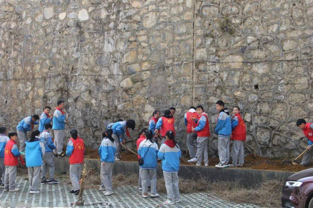 纳雍二中植树节与你共赴春天之约