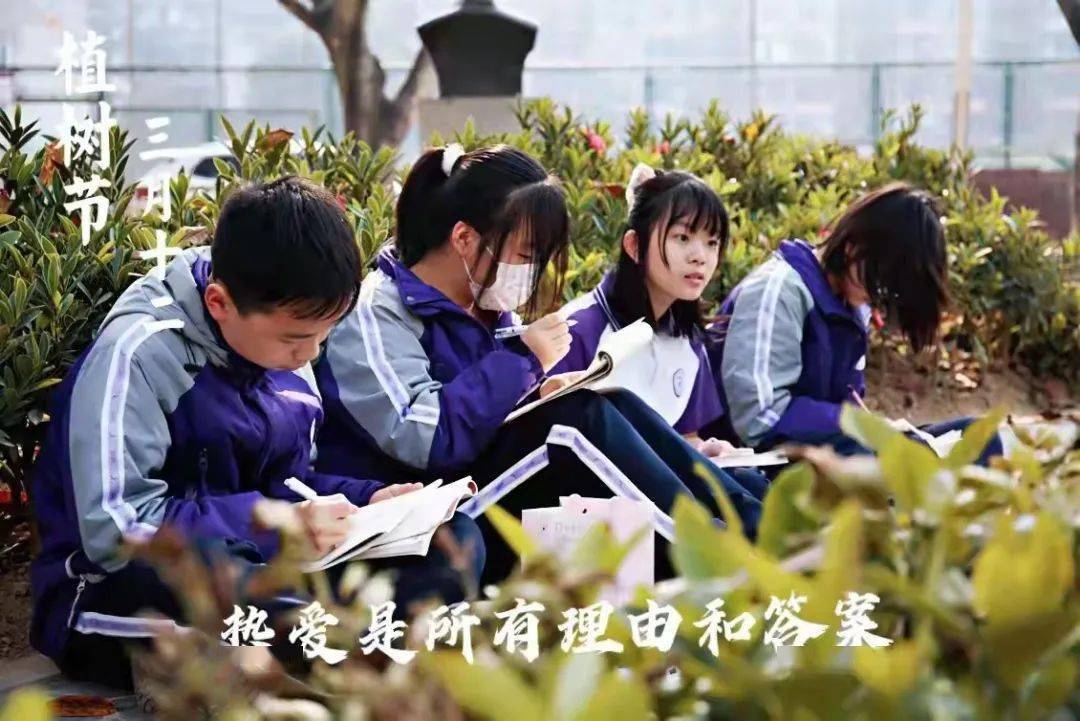植树节丨南高替你种下春天和希望_南充_校区_高中
