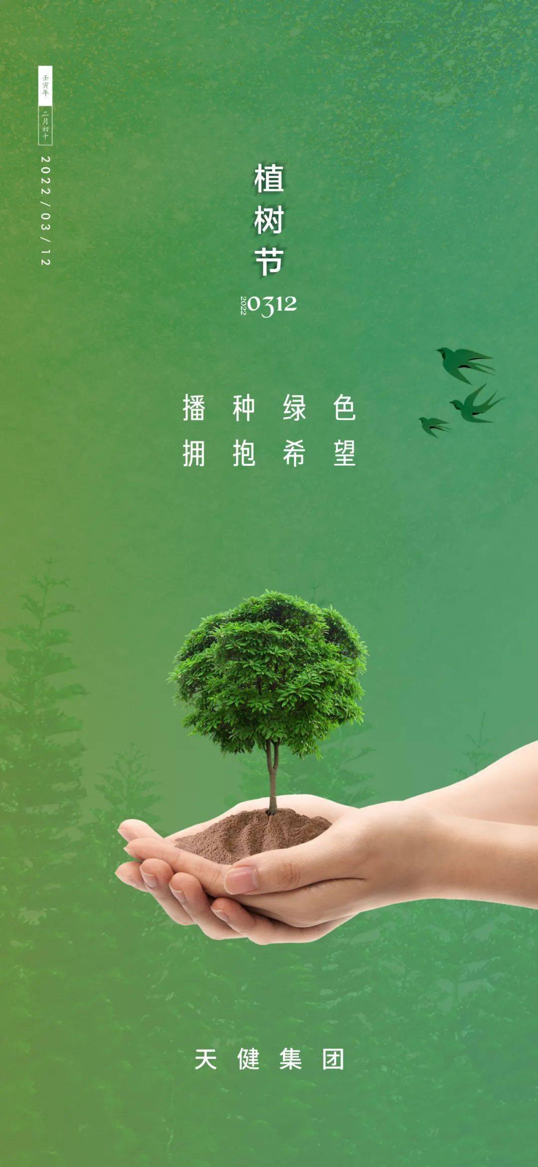 植树节播种绿色拥抱希望